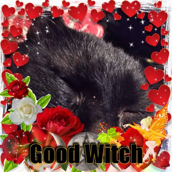 Meet your Posher, Debbie - Picture 1 of 1